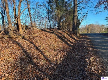 Morgan Road, Payneville, Kentucky 40157, ,For Sale,Morgan Road,HK24004614