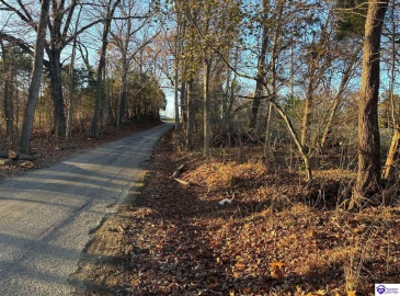 Morgan Road, Payneville, Kentucky 40157, ,For Sale,Morgan Road,HK24004614