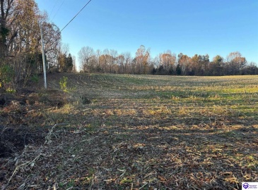 Morgan Road, Payneville, Kentucky 40157, ,For Sale,Morgan Road,HK24004614