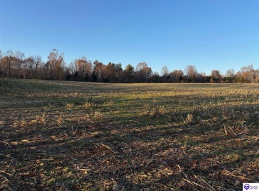 Morgan Road, Payneville, Kentucky 40157, ,For Sale,Morgan Road,HK24004614