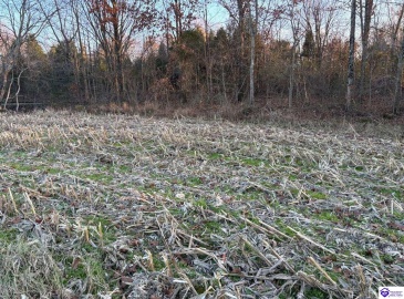 Morgan Road, Payneville, Kentucky 40157, ,For Sale,Morgan Road,HK24004614