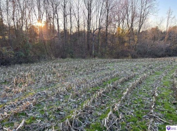 Morgan Road, Payneville, Kentucky 40157, ,For Sale,Morgan Road,HK24004614