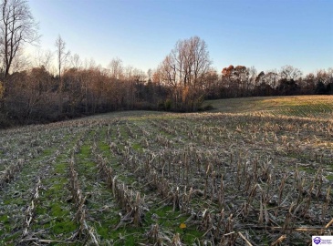 Morgan Road, Payneville, Kentucky 40157, ,For Sale,Morgan Road,HK24004614