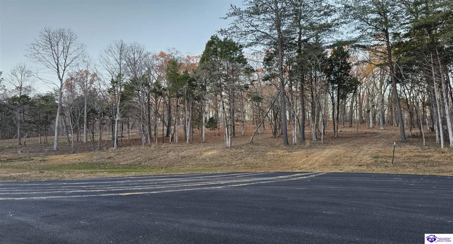 Tall Timbers Court, Radcliff, Kentucky 40160, ,For Sale,Tall Timbers Court,HK24004625