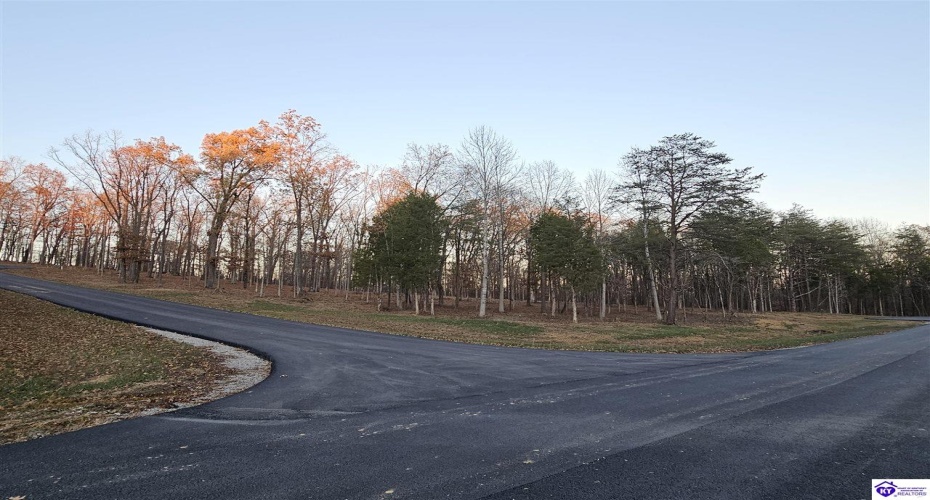 Tall Timbers Court, Radcliff, Kentucky 40160, ,For Sale,Tall Timbers Court,HK24004625