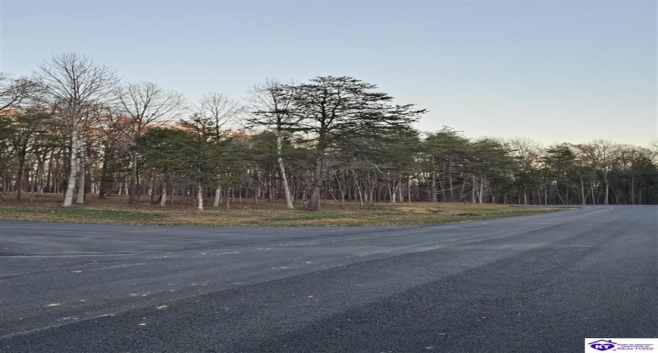 Tall Timbers Court, Radcliff, Kentucky 40160, ,For Sale,Tall Timbers Court,HK24004625