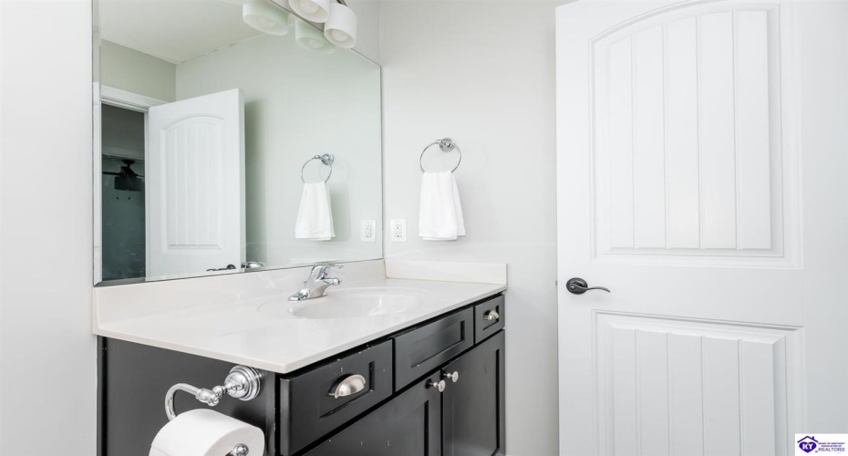 Black Ravens Court, Elizabethtown, Kentucky 42701, ,4 BathroomsBathrooms,For Sale,Black Ravens Court,HK24004630