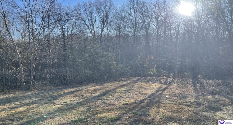 Wonderland Road, Upton, Kentucky 42784, ,2 BathroomsBathrooms,For Sale,Wonderland Road,HK24004631