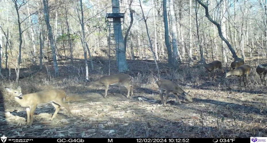 Wonderland Road, Upton, Kentucky 42784, ,2 BathroomsBathrooms,For Sale,Wonderland Road,HK24004631