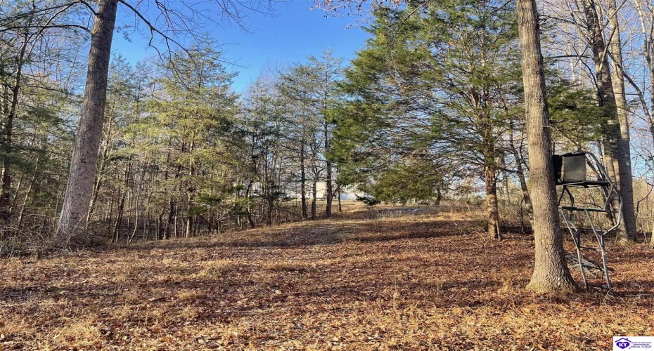 Wonderland Road, Upton, Kentucky 42784, ,2 BathroomsBathrooms,For Sale,Wonderland Road,HK24004631