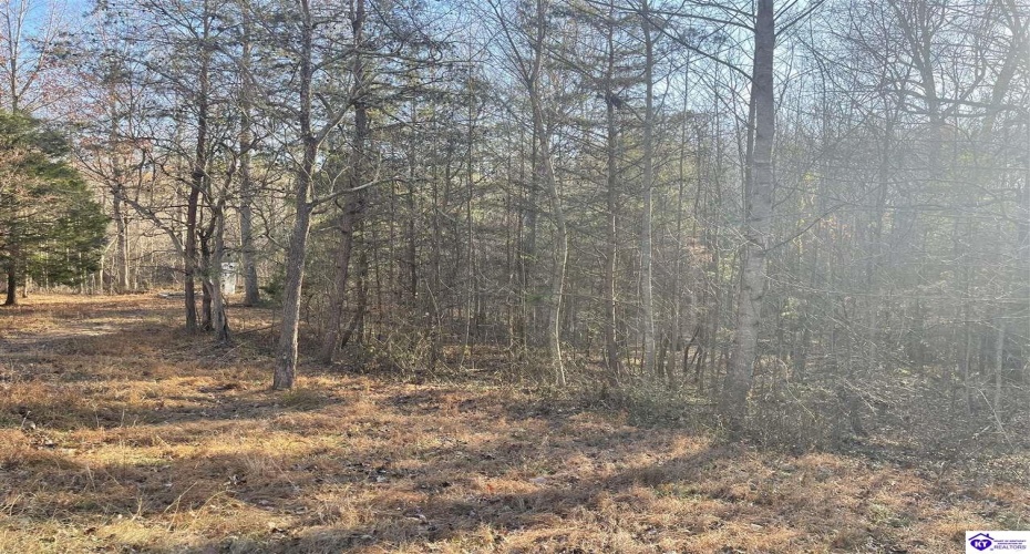 Wonderland Road, Upton, Kentucky 42784, ,2 BathroomsBathrooms,For Sale,Wonderland Road,HK24004631