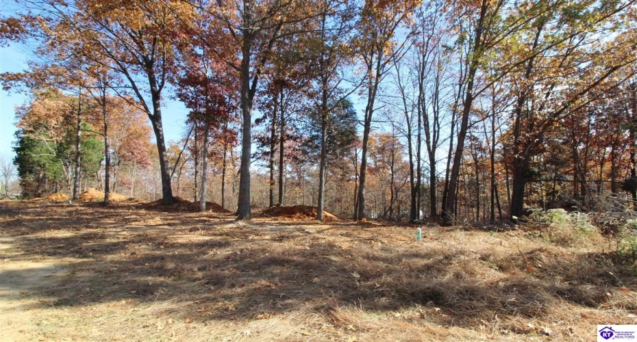 Boundary Road, Elizabethtown, Kentucky 42701, ,For Sale,Boundary Road,HK23003743