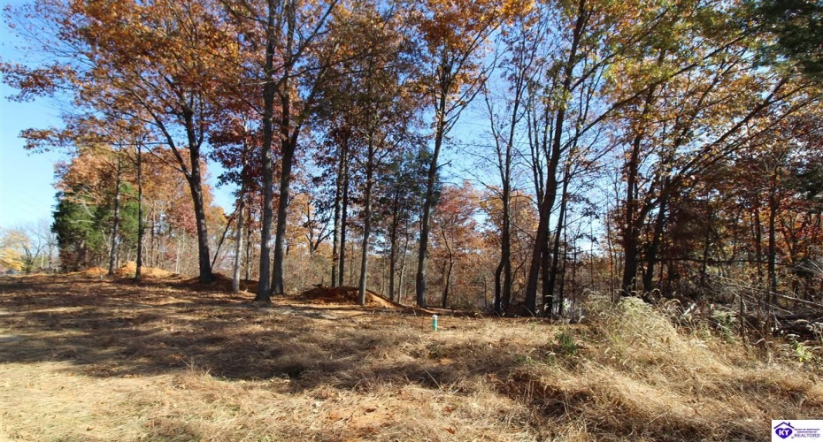 Boundary Road, Elizabethtown, Kentucky 42701, ,For Sale,Boundary Road,HK23003746