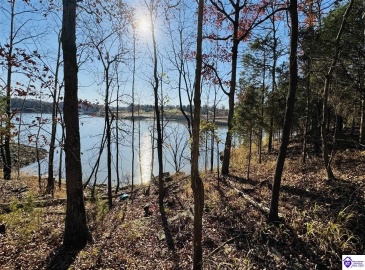 Cave Heights Drive, Falls Of Rough, Kentucky 40119, ,For Sale,Cave Heights Drive,HK23003860