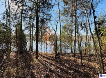 Cave Heights Drive, Falls Of Rough, Kentucky 40119, ,For Sale,Cave Heights Drive,HK23003860