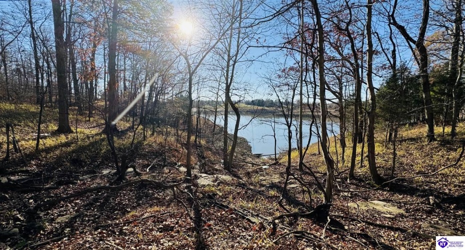 Cave Heights Drive, Falls Of Rough, Kentucky 40119, ,For Sale,Cave Heights Drive,HK23003860