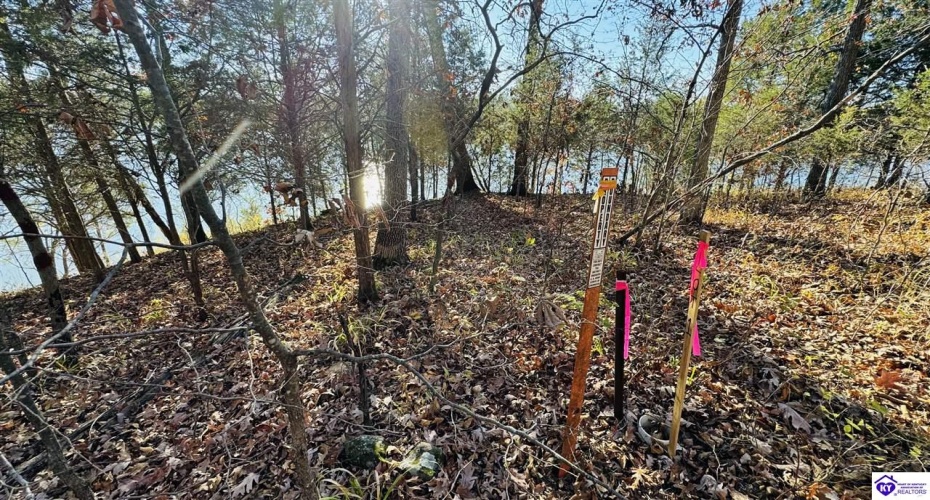 Cave Heights Drive, Falls Of Rough, Kentucky 40119, ,For Sale,Cave Heights Drive,HK23003860