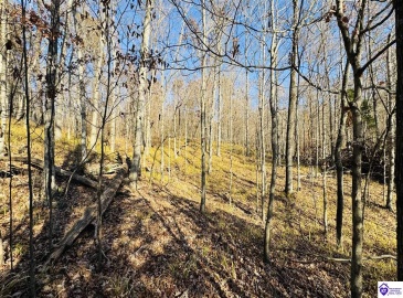 Cave Heights Drive, Falls Of Rough, Kentucky 40119, ,For Sale,Cave Heights Drive,HK23003860