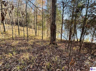Cave Heights Drive, Falls Of Rough, Kentucky 40119, ,For Sale,Cave Heights Drive,HK23003860
