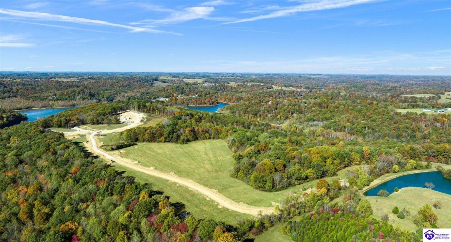 Peonia Road, Clarkson, Kentucky 42726, ,4 BathroomsBathrooms,For Sale,Peonia Road,HK23003851