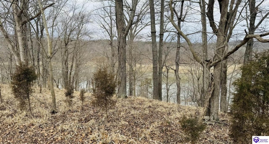 Clark Barr Lane, McDaniels, Kentucky 40152, ,For Sale,Clark Barr Lane,HK24000705