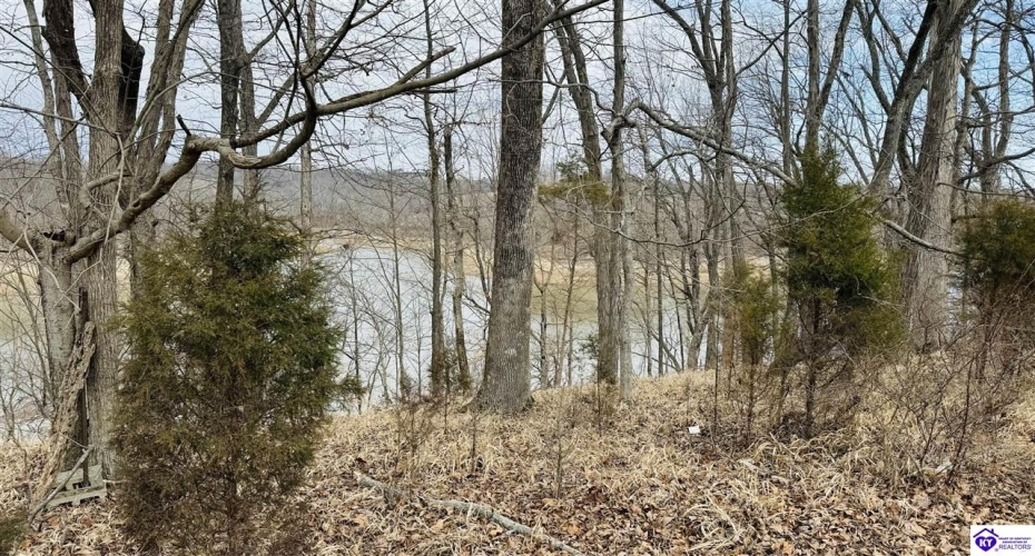 Clark Barr Lane, McDaniels, Kentucky 40152, ,For Sale,Clark Barr Lane,HK24000705