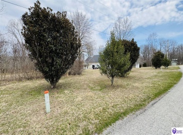 Clark Barr Lane, McDaniels, Kentucky 40152, ,For Sale,Clark Barr Lane,HK24000706