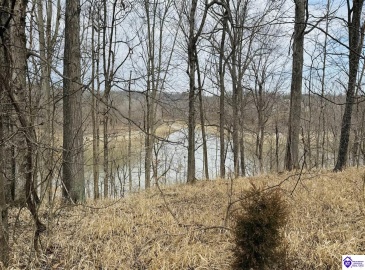 Clark Barr Lane, McDaniels, Kentucky 40152, ,For Sale,Clark Barr Lane,HK24000706