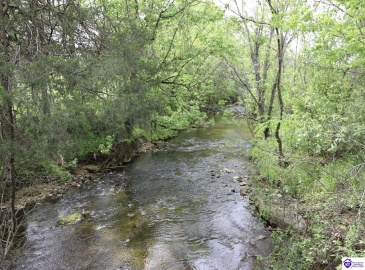 Brushy Fork Drive, Vine Grove, Kentucky 40175, ,For Sale,Brushy Fork Drive,HK24000776