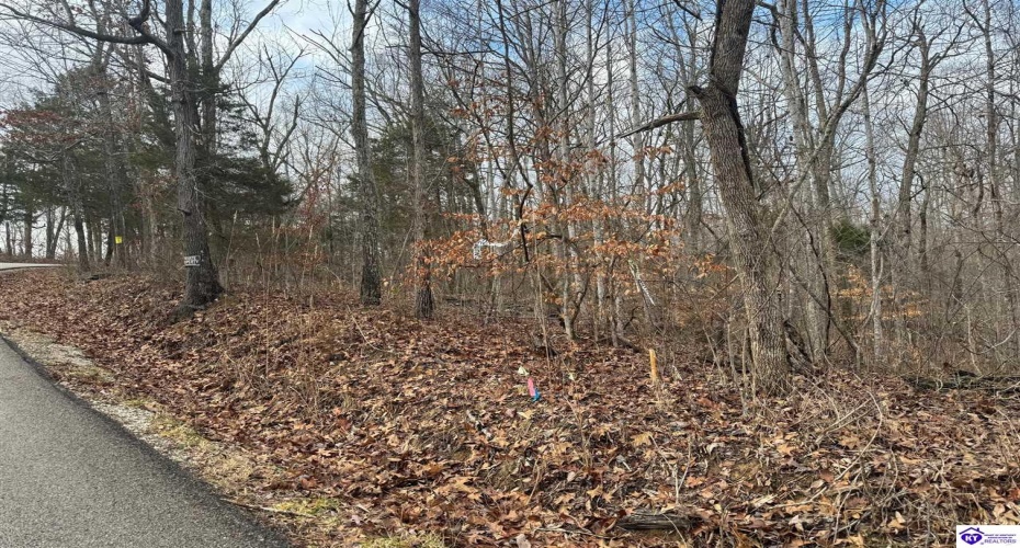 Levelwoods Road, Hodgenville, Kentucky 42748, ,For Sale,Levelwoods Road,HK24000301