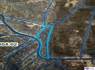 Levelwoods Road, Hodgenville, Kentucky 42748, ,For Sale,Levelwoods Road,HK24000301