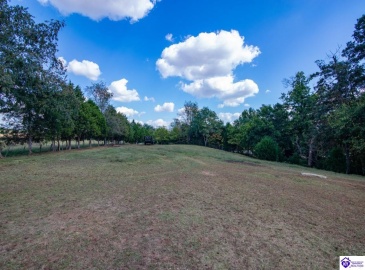 Sonora Hardin Springs Road, Eastview, Kentucky 42732, ,2 BathroomsBathrooms,For Sale,Sonora Hardin Springs Road,HK24000324