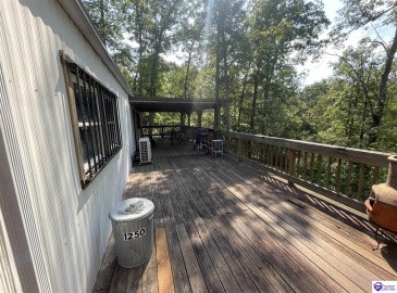 Fernwood Lane, Leitchfield, Kentucky 42754, ,1 BathroomBathrooms,For Sale,Fernwood Lane,HK24000391