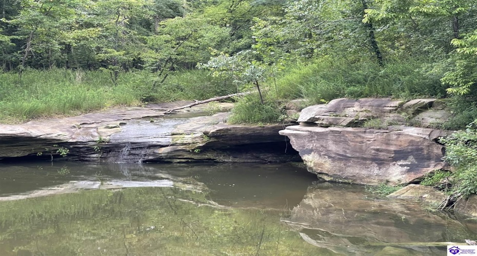 Fernwood Lane, Leitchfield, Kentucky 42754, ,1 BathroomBathrooms,For Sale,Fernwood Lane,HK24000391