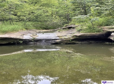 Fernwood Lane, Leitchfield, Kentucky 42754, ,1 BathroomBathrooms,For Sale,Fernwood Lane,HK24000391