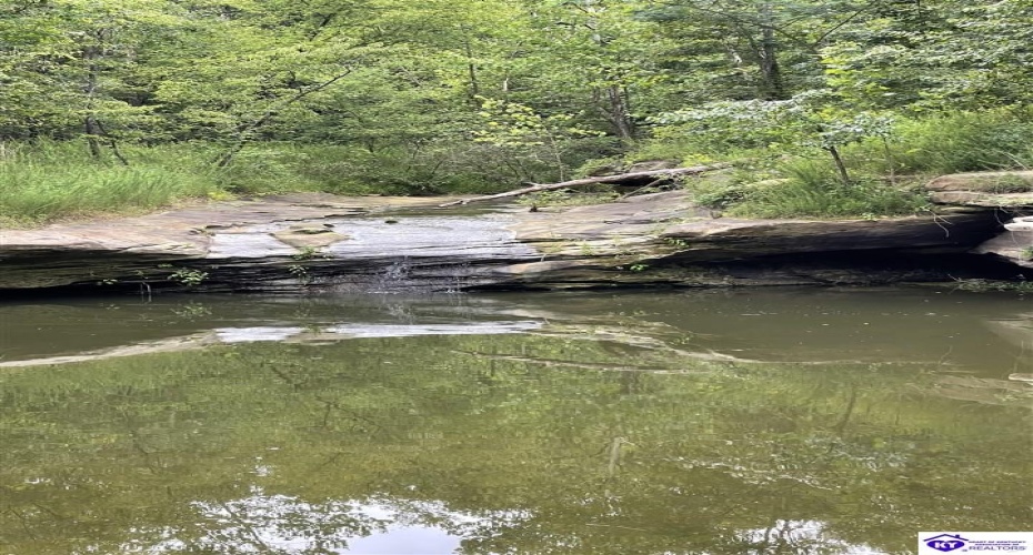 Fernwood Lane, Leitchfield, Kentucky 42754, ,1 BathroomBathrooms,For Sale,Fernwood Lane,HK24000391