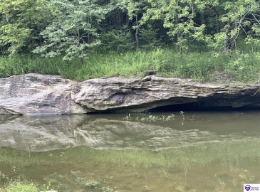 Fernwood Lane, Leitchfield, Kentucky 42754, ,1 BathroomBathrooms,For Sale,Fernwood Lane,HK24000391