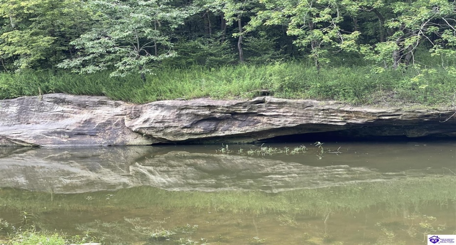 Fernwood Lane, Leitchfield, Kentucky 42754, ,1 BathroomBathrooms,For Sale,Fernwood Lane,HK24000391