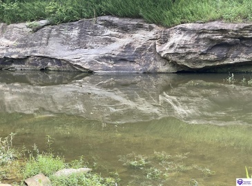 Fernwood Lane, Leitchfield, Kentucky 42754, ,1 BathroomBathrooms,For Sale,Fernwood Lane,HK24000391