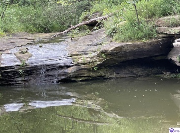 Fernwood Lane, Leitchfield, Kentucky 42754, ,1 BathroomBathrooms,For Sale,Fernwood Lane,HK24000391