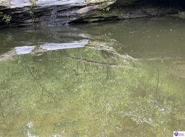 Fernwood Lane, Leitchfield, Kentucky 42754, ,1 BathroomBathrooms,For Sale,Fernwood Lane,HK24000391