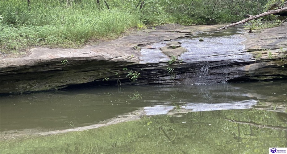 Fernwood Lane, Leitchfield, Kentucky 42754, ,1 BathroomBathrooms,For Sale,Fernwood Lane,HK24000391