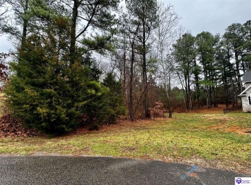 Valhalla Court, Brandenburg, Kentucky 40108, ,For Sale,Valhalla Court,HK24000659