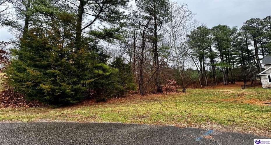 Valhalla Court, Brandenburg, Kentucky 40108, ,For Sale,Valhalla Court,HK24000659