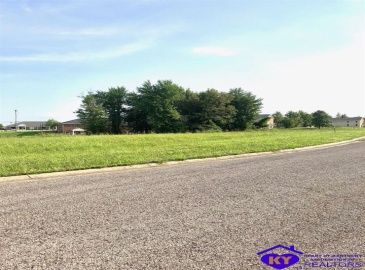 Drexler Circle, Elizabethtown, Kentucky 42701, ,For Sale,Drexler Circle,HK10056389