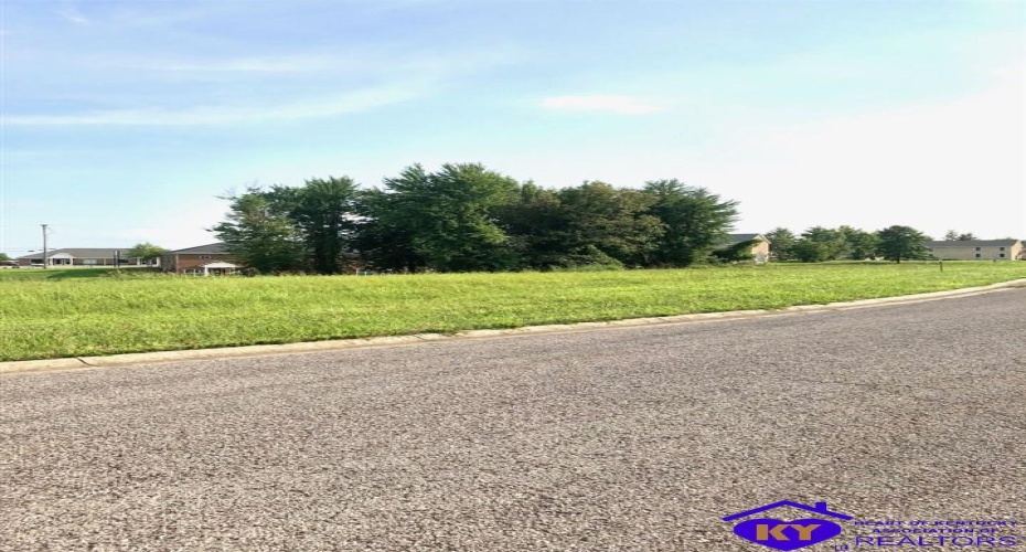 Drexler Circle, Elizabethtown, Kentucky 42701, ,For Sale,Drexler Circle,HK10056389