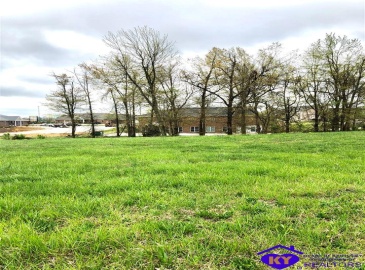 Drexler Circle, Elizabethtown, Kentucky 42701, ,For Sale,Drexler Circle,HK10056389