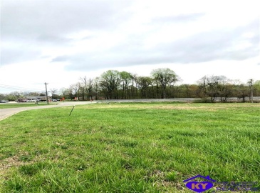 Drexler Circle, Elizabethtown, Kentucky 42701, ,For Sale,Drexler Circle,HK10056389