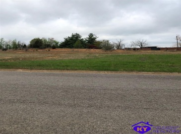 Drexler Circle, Elizabethtown, Kentucky 42701, ,For Sale,Drexler Circle,HK10056389