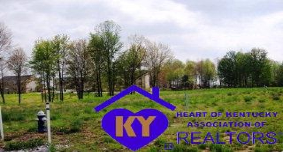 Drexler Circle, Elizabethtown, Kentucky 42701, ,For Sale,Drexler Circle,HK10051972